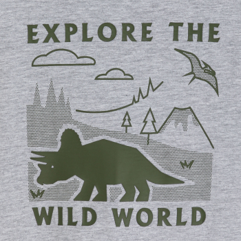 تيشيرت مزين برسمة ديناصور، باللون الرمادي للأولاد.